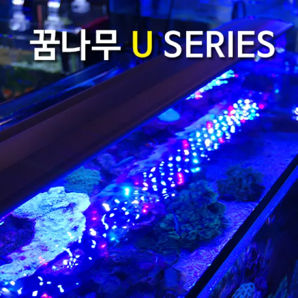 꿈나무 U60 해수, 1개