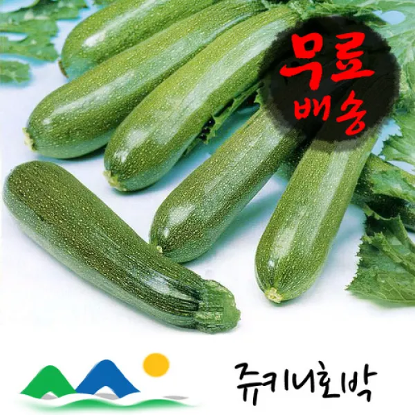 신선농장 쥬키니호박, 1박스, 10kg(상)