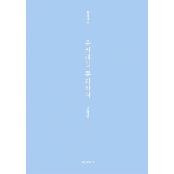 유리체를 통과하다, 실천문학사