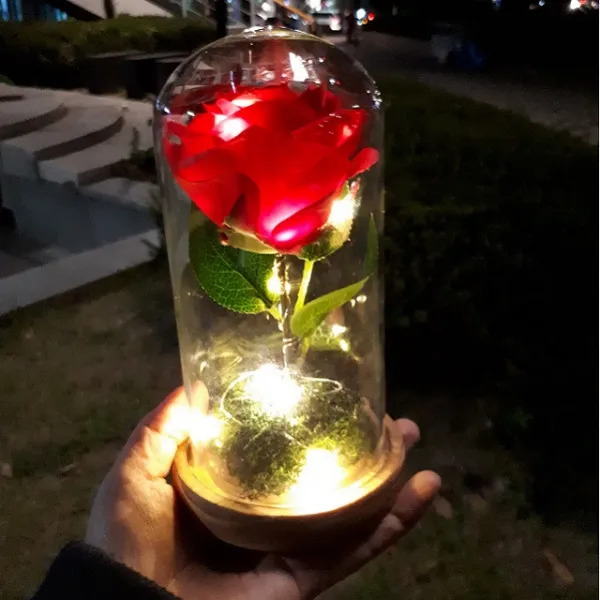 아란플라워 장미 무드등 미녀와 야수 어린왕자 인테리어 조명 장미꽃