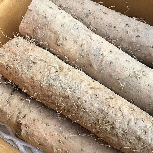 태산농장 안동마 장마 중품 1box 02_장마 중품 4kg