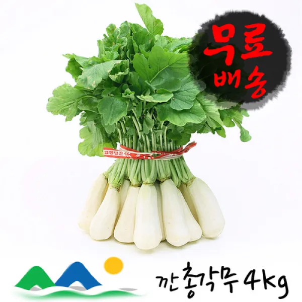 신선농장 알타리, 1박스, 3kg내외(알탈리 1단)