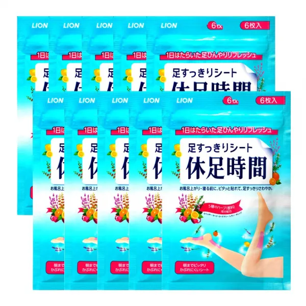 휴족시간 쿨링시트, 6매입, 10개