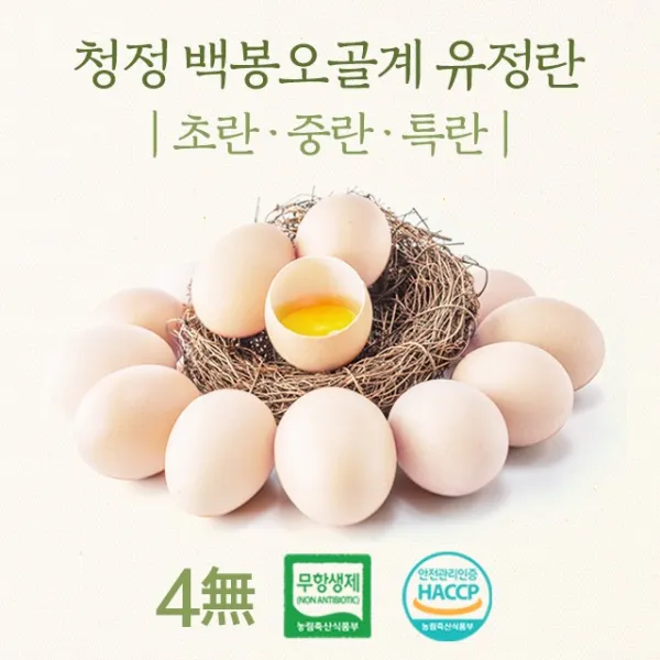 강원도 청정 백봉오골계 유정란 (무항생제 HACCP 인증), 30구