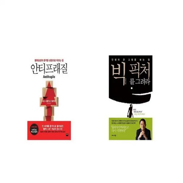 안티프래질 Antifragile + 빅 픽처를 그려라 [세트상품]