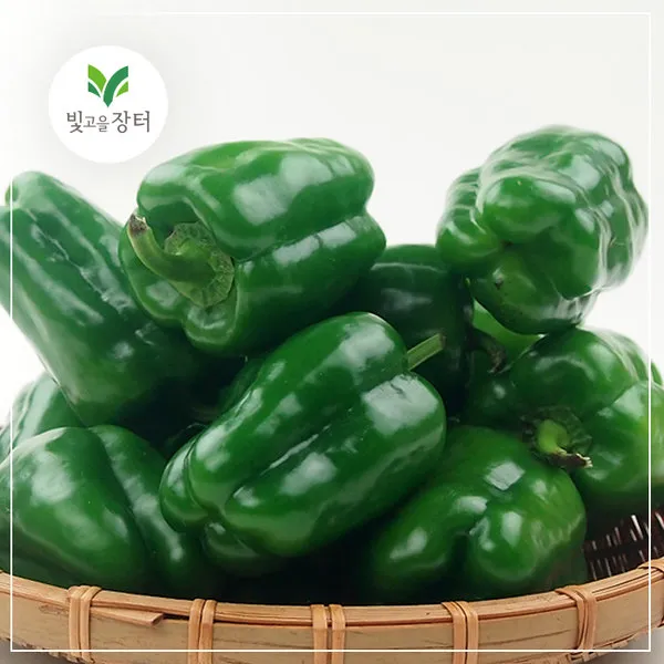 피망 청피망 10kg 5kg 3kg 2kg 1kg내외 빛고을장터, 1box, 4번 청피망 2kg내외