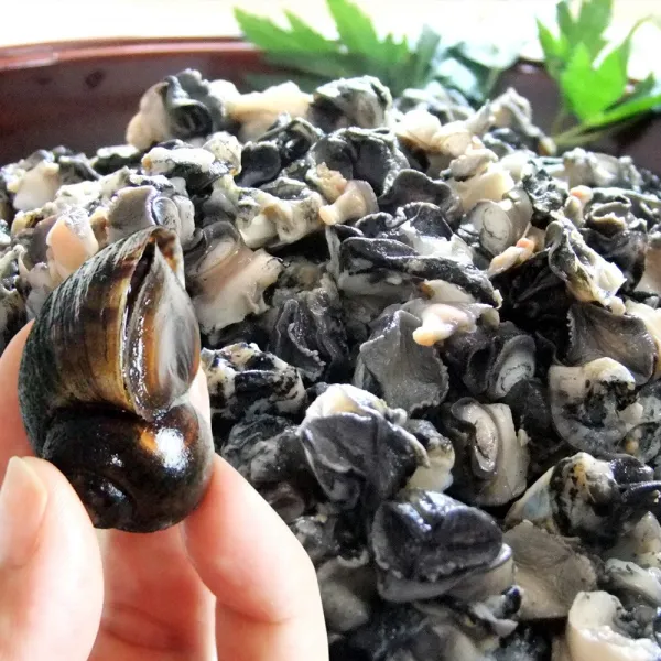 국내산 왕 우렁이 1kg, 1팩, 우렁이 1kg(우렁이살 700g내외)