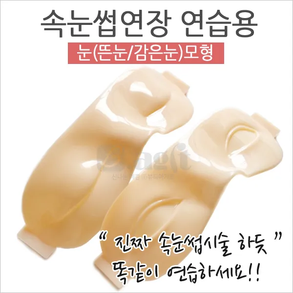 눈모형/뜬눈 감은눈 선택/속눈썹연습 눈모형