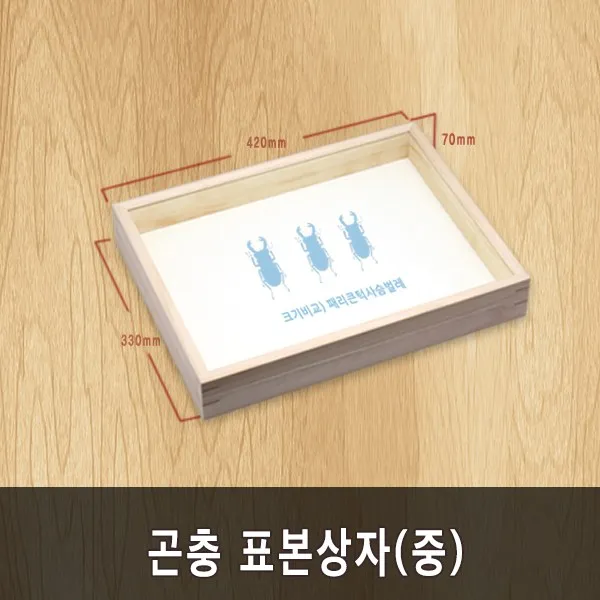충우곤충박물관 곤충 표본상자(중), 1개