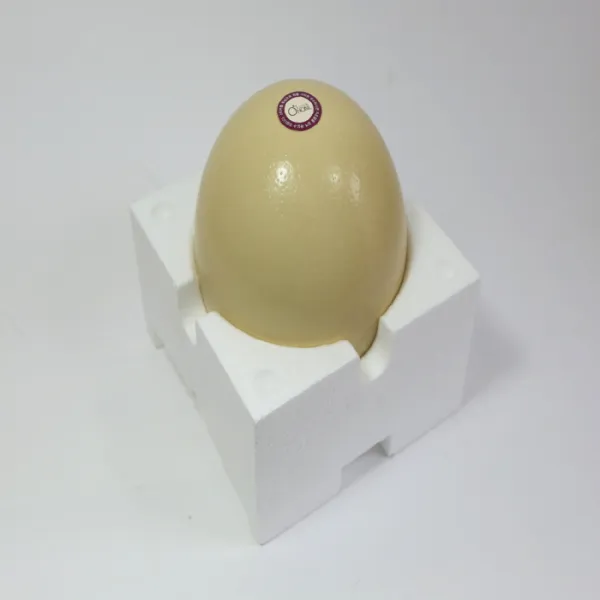 자연해봄 키크는 타조알 신선도 보장, 1개, 소(1.1kg이상~1.3kg미만)