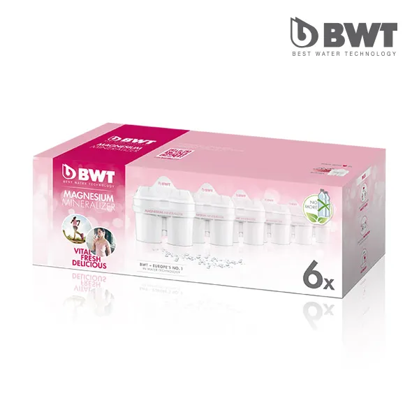 [BWT] 친환경 정수기술 혼족 정수기 정수필터 간이정수기, 교체형필터(6개입)