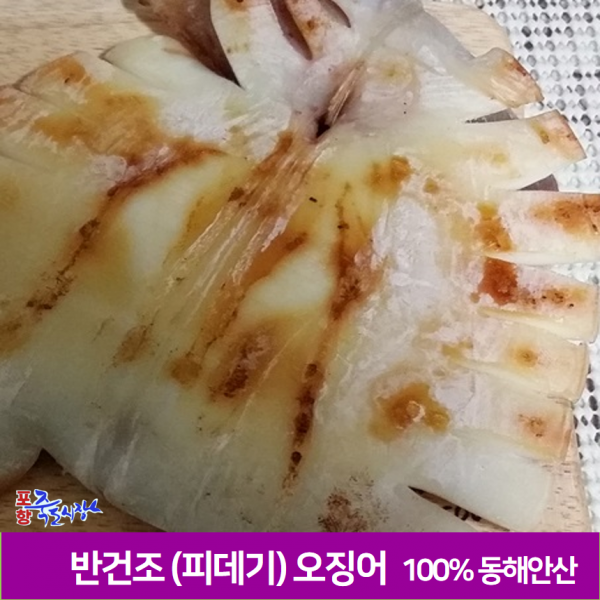 죽도시장 반건조 오징어(중) 1.2kg 동해안 피데기오징어, 10마리