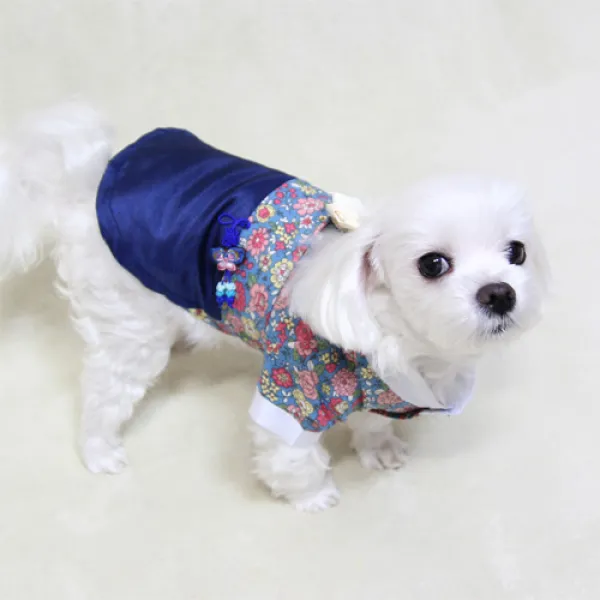 도기코디 플라워 마고자 강아지한복, 블루