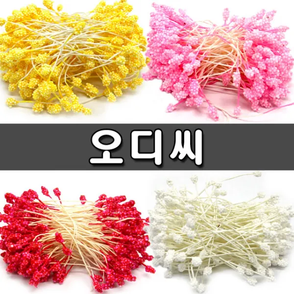[지은아트] 씨앗 오디씨 - 색상선택, 분홍, 1개