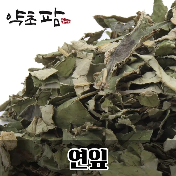 약초팜 연잎 건약초 연입 건조연입, 연잎건초300g