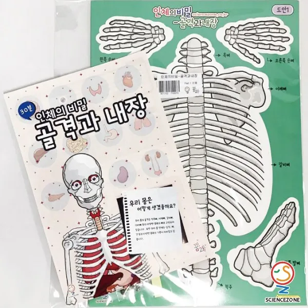 (주)사이언스존 과학실험-꿈과-인체의비밀-골격과내장(1인용) 과학실험키트