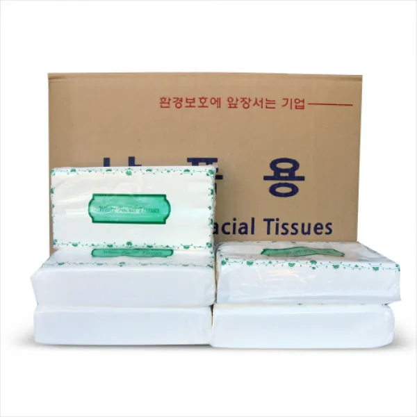 [티슈랜드] 리필티슈100*60개입 (10장 41원)