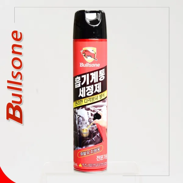 불스원 흡기계통세정제550ml 휘발유차량용 가솔린전용 car03