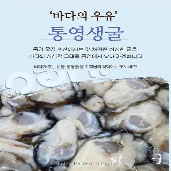 통영생굴 3kg 5kg 오후7시 이전당일발송(토요일제외), 1박스