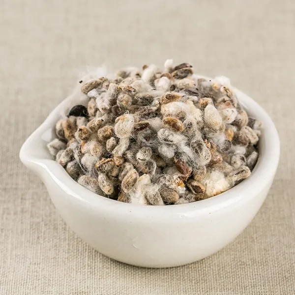 파워푸드 국산 목화씨(면화자) 300g 마른 건조 약초 약재 한방차, 16GD_국산목화씨(면화자)300g