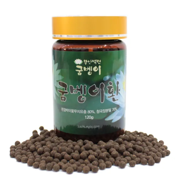 참건강마을 (무안백련굼벵이) 굼벵이환 120g, 5개