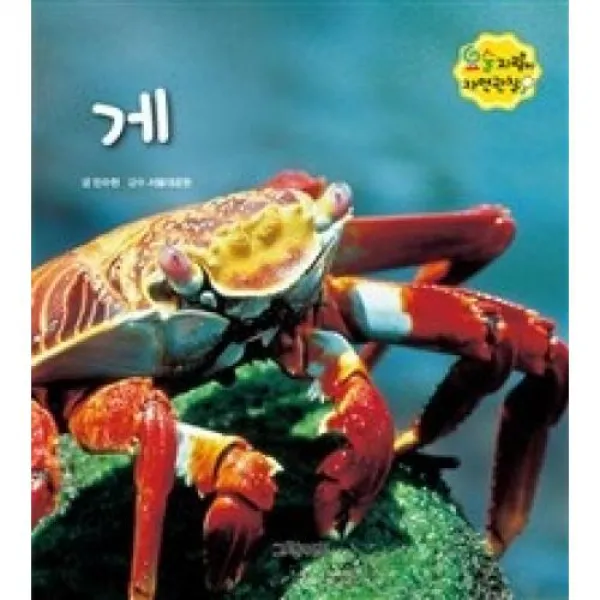 요술지팡이 자연관찰-게, 그린키즈