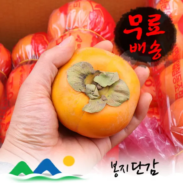 신선농장 단감, 1박스, 5kg (50과) 품절