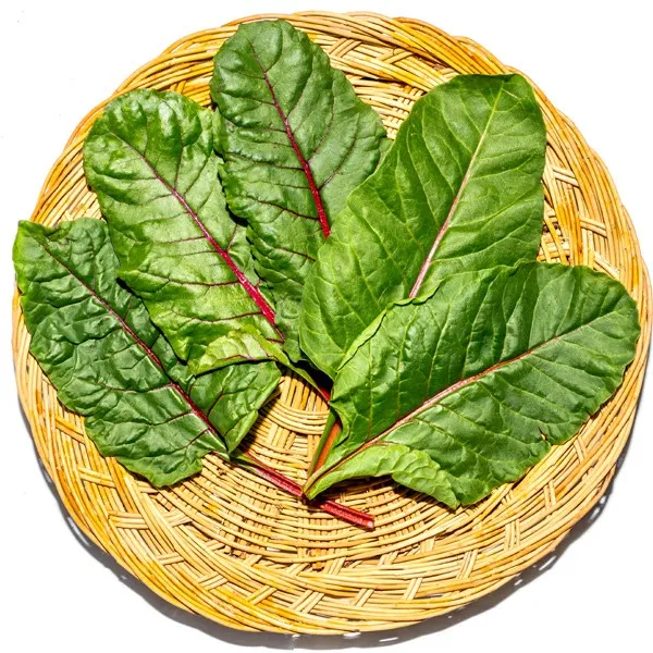 팜 유기농 적근대 1kg 근대, 1개
