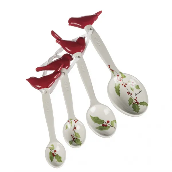 설리번스홈비긴즈히어 카디널 계량스푼 4종세트 1개