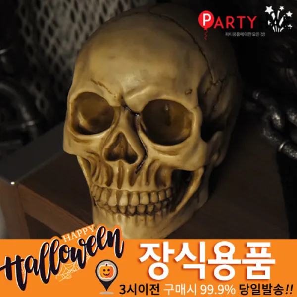 파티해 할로윈 장식_분장소품, I04_고급해골모형(두개골)