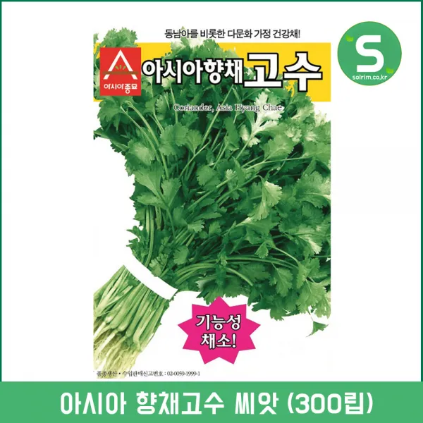 솔림텃밭몰 고수씨앗 300립 아시아향채고수 향신채 쌈채 건강채소