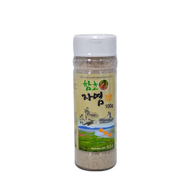 진짜배기순천만함초 순천만함초자염소금, 100g, 1개