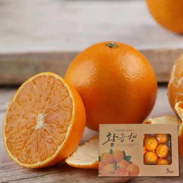 [제주직송]달콤한 황금향 7~12과 2kg, 단품