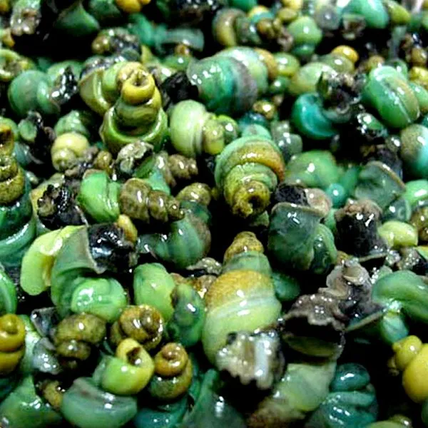 서제천영농조합 동강 청정 깐다슬기 450gx5팩 5개 450g