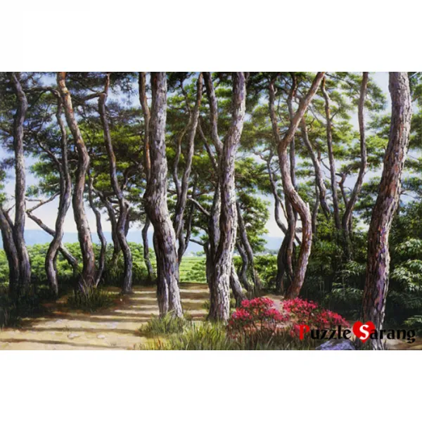 (OH) 1000피스 직소퍼즐 / 솔밭길을 따라서, 1