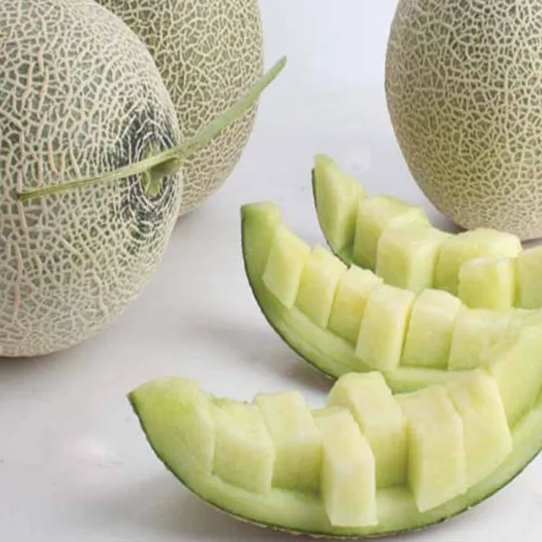 전남 나주 세지농협의 세론이 메론 5kg (3-4수), 1box, 세론이메론 5kg (3-4수)