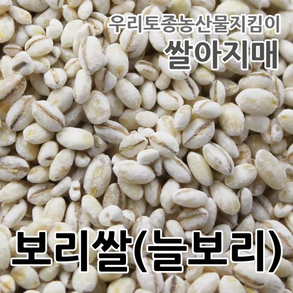 2022년산 보리쌀 국산100% 쌀아지매, 1개, 1kg