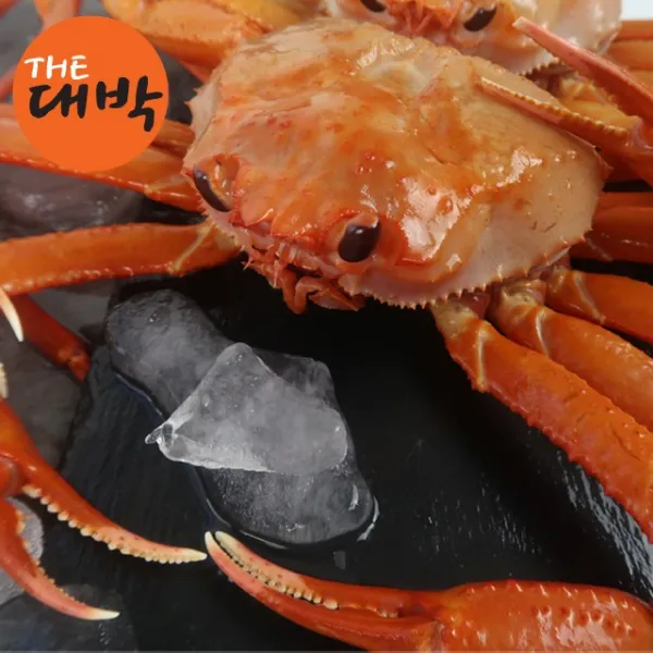 더대박 산지직송 살이 꽉찬 박달홍게 대, 1박스, 5kg