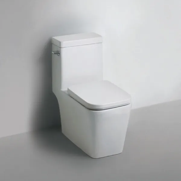 대림 Cc259 원피스 특대형 양변기 1개