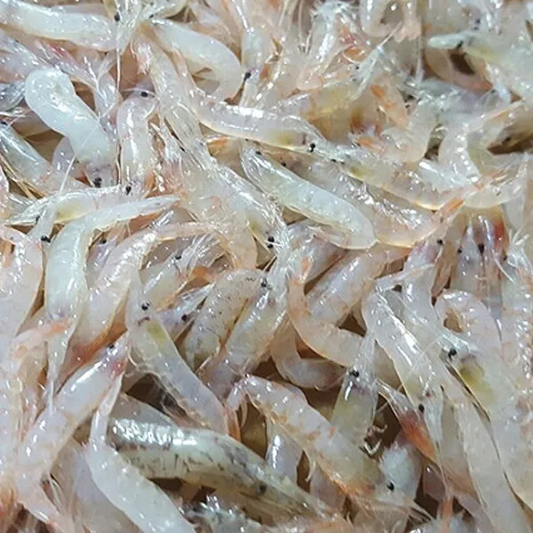 쿡북 동백하 1kg 김장용 생새우 급냉 1개