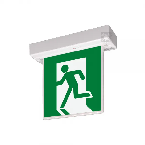 리더스테크 피난구 중형 유도등 천장형 단면 양면 1개