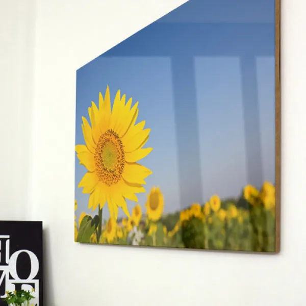 꾸밈 Ce026 아크릴액자풍요의해바라기모음 대형 액자 3.바람