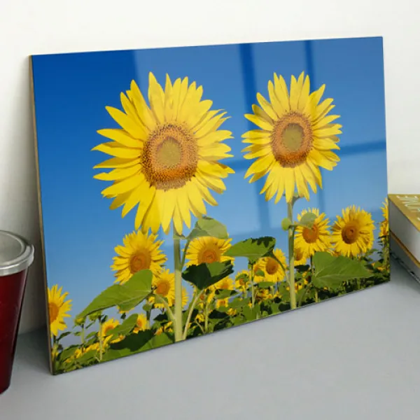 꾸밈 Ce026 아크릴액자풍요의해바라기모음 대형 액자 2.사랑