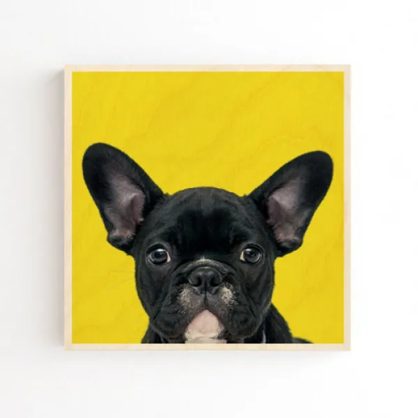 모두의팩토리 강아지 나무액자 애견얼굴액자(주문제작도 가능), 강아지액자(bgO) TYPE 09