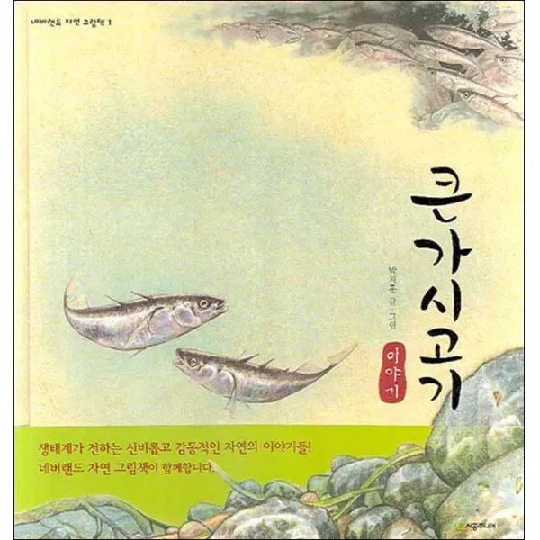 시공주니어] 큰가시고기 이야기