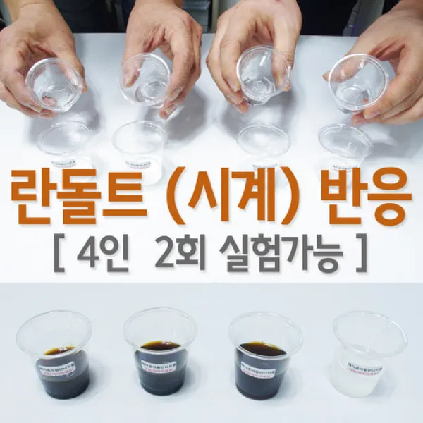 란돌트(시계)반응 (4인2회실험)