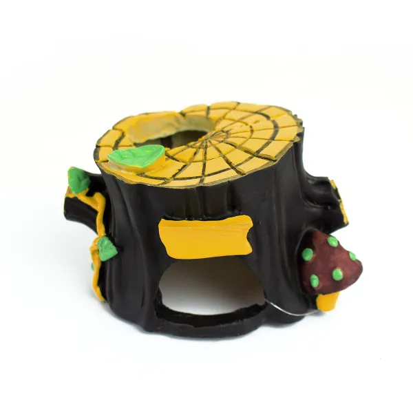 아마존 나무 밑동 산란상 어항장식