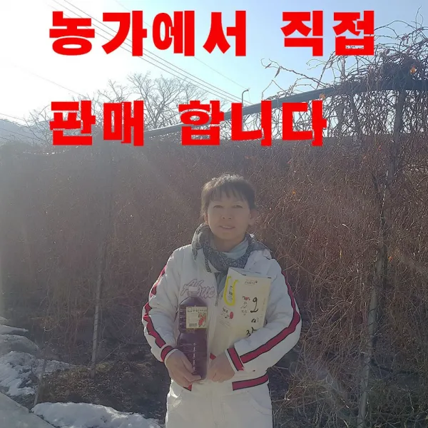 문경오미자 유정농원 오미자청 원액, 1박스, 1000ml