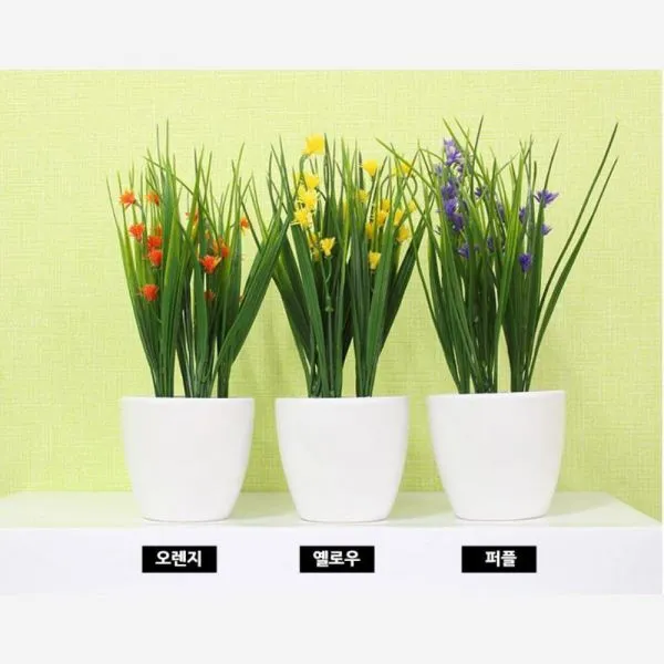 라이크데이 내가 찾던 마르샤 조화화분 실내장식, 마르샤 옐로우