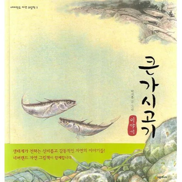 큰가시고기 이야기 (네버랜드 자연 그림책 1) (양장)